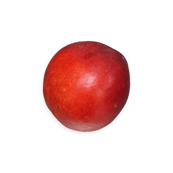Nectarina - Image 2