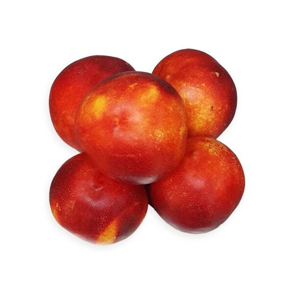 Nectarina
