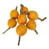 Nêspera - Image 2