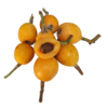 Nêspera